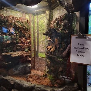 Bays Mountain - Empty