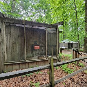 Bays Mountain - Raptor center