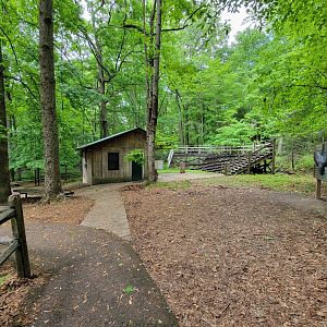 Bays Mountain - Raptor center second ampitheater