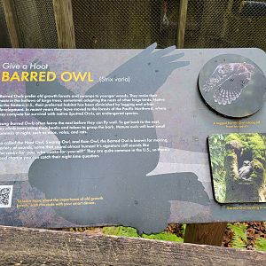 Bays Mountain - Raptor center, example of signage