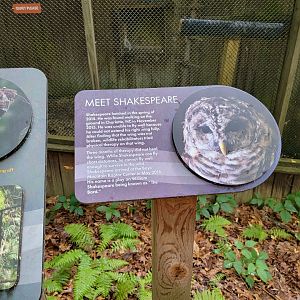Bays Mountain - Raptor center, example of individual signage