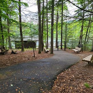 Bays Mountain - Boat launch