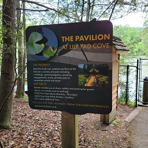 Bays Mountain - Pavilion at Lily Pad Cove