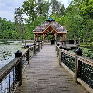 Bays Mountain - Pavilion at Lily Pad Cove