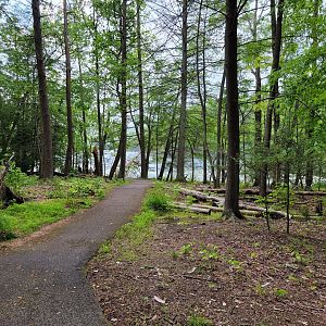 Bays Mountain - Trail to water