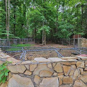 Bays Mountain - Empty NARO exhibit