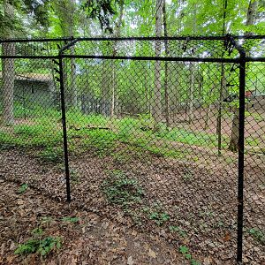 Bays Mountain - Bobcat yard left corner