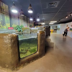 Bays Mountain - Watershed room