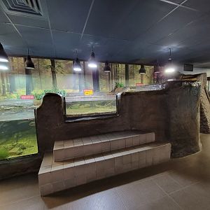 Bays Mountain - Open top fish tanks