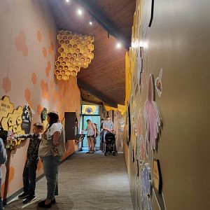 Bays Mountain - Honey bee hallway