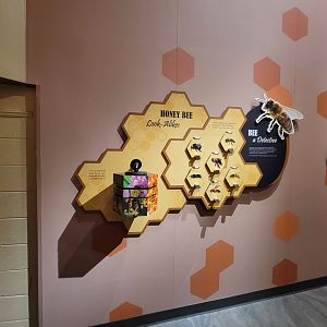 Bays Mountain - Honey bee hallway