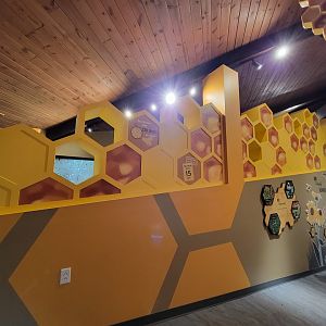 Bays Mountain - Honey bee hallway