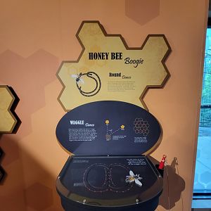 Bays Mountain - Honey bee hallway