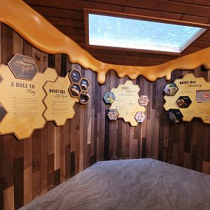 Bays Mountain - Honey bee hallway