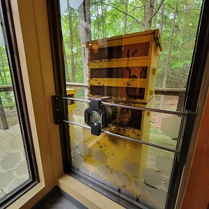 Bays Mountain - Honey bee hallway