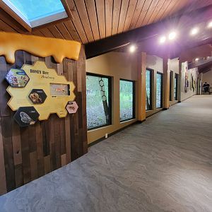 Bays Mountain - Honey bee hallway
