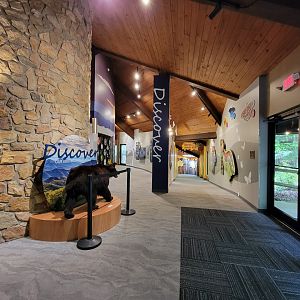 Bays Mountain - Hallways