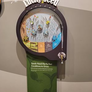 Bays Mountain - Will the seed grow? Game