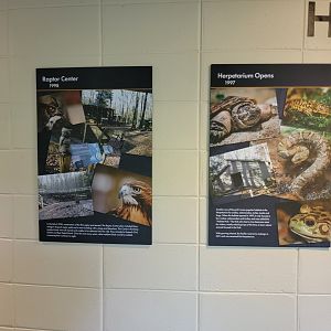 Bays Mountain - History of Bays Mountain