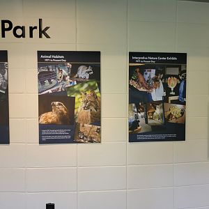 Bays Mountain - History of Bays Mountain