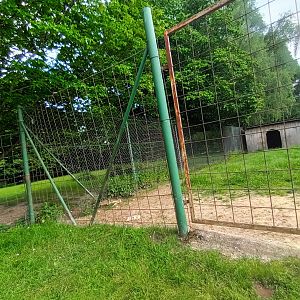 Dybowski Deer Enclosure