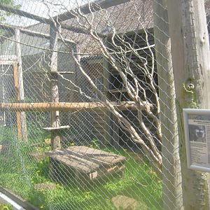 Odsherred Zoo - White-fronted lemur exhibit