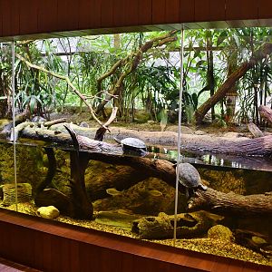 Southeast Asian Mixed Exhibit