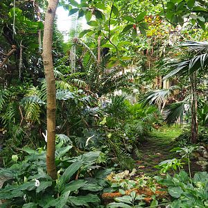 View in the Winter Garden and seasonal butterfly exhibit, 2022-05-26