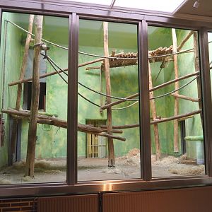 Part of chimpanzee indoor housing - One of the "bedroom" exhibits, 2022-05-26