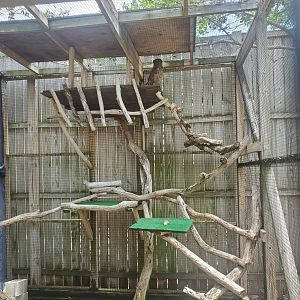 Laura Quinn Wild Bird Sanctuary (2022) - Great Horned Owl + Enclosure