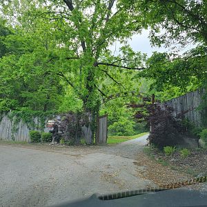 Creation Kingdom - Entrance gate