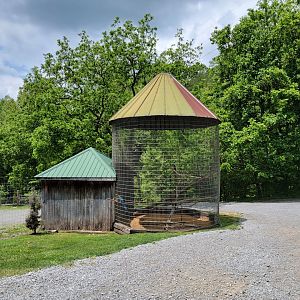 Creation Kingdom - Blue & gold macaws in parking lot