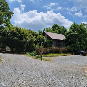 Creation Kingdom - Entrance building