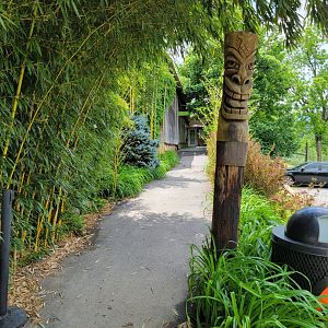 Creation Kingdom - Path to entrance