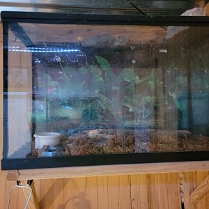 Creation Kingdom - Empty?