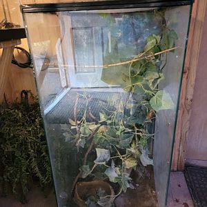 Creation Kingdom - Empty