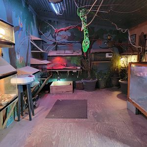 Creation Kingdom - Herp room