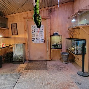 Creation Kingdom - Herp room, other side