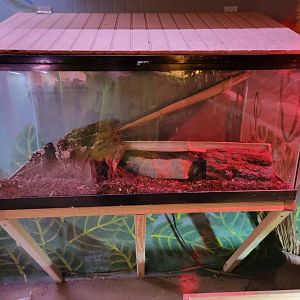 Creation Kingdom - Empty?