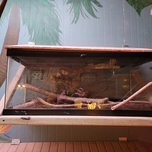 Creation Kingdom - Empty?