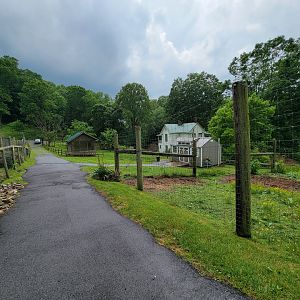 Creation Kingdom - Path to bathrooms, red ruffed lemur