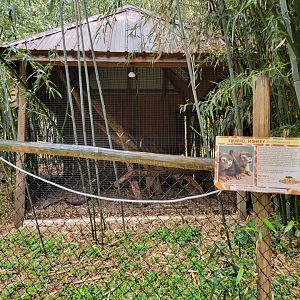 Creation Kingdom - Squirrel monkeys