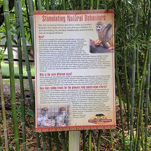 Creation Kingdom - "Stimulating natural behaviors"