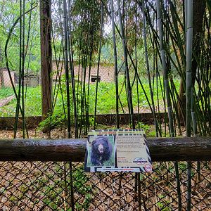 Creation Kingdom - Sloth bear