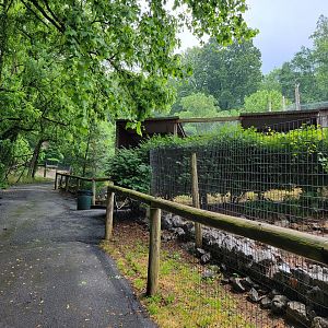 Creation Kingdom - Path