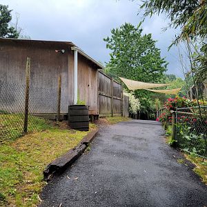 Creation Kingdom - Path