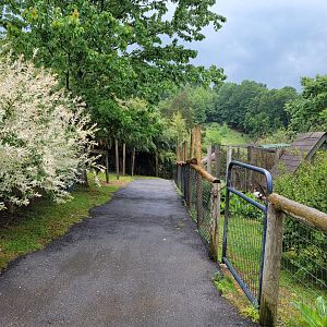 Creation Kingdom - Path