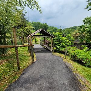 Creation Kingdom - Path