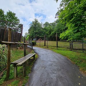 Creation Kingdom - Path