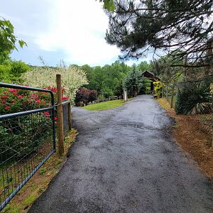 Creation Kingdom - Path